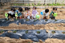 또래텃밭 돌보기