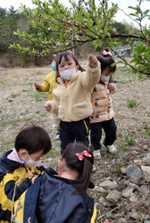 흙담기&작은벚꽃나무 관찰하기