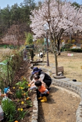 꽃을 심어요