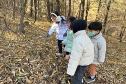 11월5주 (숲활동-겨울나무 탐색하기, 작은 숲 만들기))