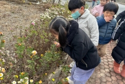 11월5주 (산책-꽃 탐색하기, 무궁화 꽃이 피었습니다)