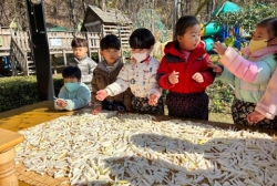 11월3주 (텃밭체험-무 뽑고 무청걸기, 말린 무 관찰하기)