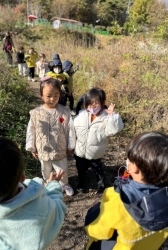 11월2주 (숲활동-가을 바람 느껴보며 솔잎 날려보기)