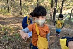 11월1주 (숲활동-벌레 먹은 나뭇잎, 도토리, 밤 찾아보기, 가을 흔적 찾기)