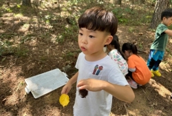 9월1주 (숲활동-초록색 밤송이와 갈색 밤송이 비교 관찰)