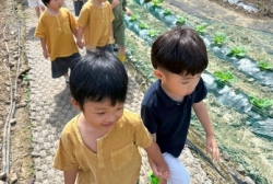 9월1주 (텃밭-심어진 무 관찰, 상추 관찰)