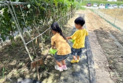 8월2주 (텃밭체험-식물 관찰 후 물주기)