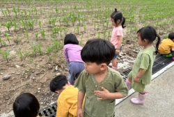 6월4주 (산책-나뭇잎 비가 내려요, 달팽이 찾기)