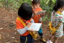6월3주 (산책 및 숲체험-숲 관찰하고 그려보기, 달팽이, 산민달팽이 관찰)