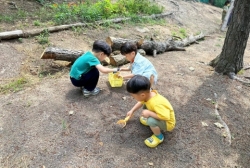 6월2주 (숲놀이터-감으로 소꿉놀이하기)