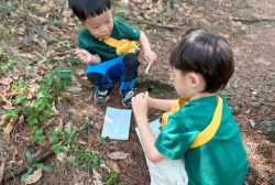 6월2주 (산책 및 숲활동-좋아하는 나뭇잎 그려보기, 나뭇잎으로 동물 놀이, 나뭇잎 눈이 