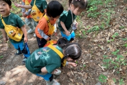 6월1주 (숲체험-풀 싸움, 다양한 모양의 나뭇잎 찾기)