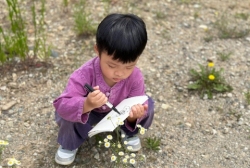 6월1주 (산책-꽃 관찰하고 그려보기, 산 딸기 찾아보고 탐색하기)