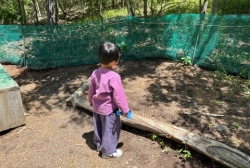 5월5주 (산책 및 숲체험-숲 놀이터)