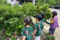 5월5주 (산책 및 숲체험 - 열매관탈하기, 곤충 찾아보기)