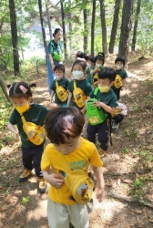 5월3주 (산책 및 숲체험 - 개기장 관찰하고 그려보기, 개기장으로 자유롭게 만들기)