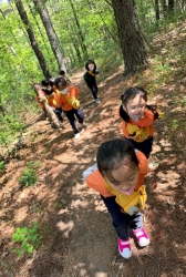 5월2주 (산책 및 숲활동-아카시아 꽃과 잎 관찰하고 그리기, 봄 식물 관찰하고 그려보기,