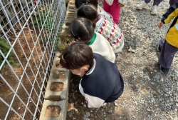 4월4주 (산책 및 숲체험-봄 꽃 찾아본 후 같은 색깔 찾아보기, 솔방울 탐색 후 주워보기