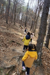 3월3주 (숲 놀이 및 숲 놀이터-우리 동네에서 볼 수 있는 곤충과 꽃, 주변을 산책해요)