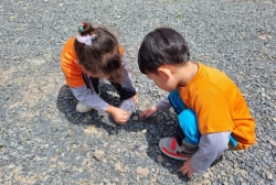 애기똥풀관찰하기+손톱에 발라보기+봄꽃 찾아보기