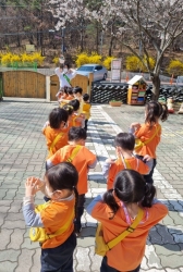 쑥 관찰하기/쑥 캐기