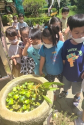 7월2주 바깥놀이