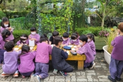 10월1주 중량절국화관찰하고 그려보기