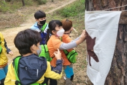 10월1주 영천별빛숲체험원:도꼬마리 열매로 멧돼지에게 던져붙여보기나뭇잎으로 입술을 멋지게 