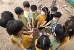 7월1주 감자캐기와 감꼭지로 놀아요