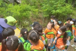 6월4주영천별빛숲체험곤충눈으로 걸어보기