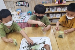 6월1주 단오세시풍속놀이부채그림그리기,쑥포푸리만들기,창포물에 손싯기,우리반천하장사 씨름대회