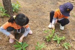 5월3주숲활동 숲놀이 선생님과 애벌래놀이