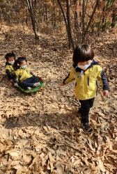 11월2주) 낙엽썰매