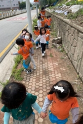 6월3주숲활동(나뭇잎짝찾기)