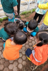 6월2주(산책)