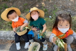 6월1주(산책- 쑥관찰후 뜯기)