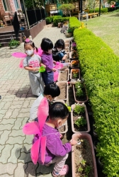 4월4주) 나비가 되었어요.(물주기, 세차놀이, 보리관찰,개구리 관찰)