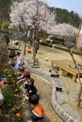 4월1주한식(꽃모종심기)