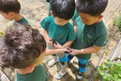 8월2주-포도수확하여 맛보기