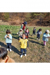 11월3주- 또래 텃밭의 무와 배추는요??