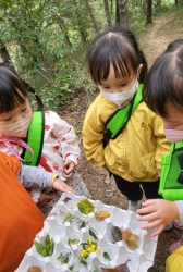 10월1주-숲에서  가을을 찾아 모아왔어요