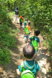 6월1주-매실을 발견하여 매실을 따는 햇살반친구들