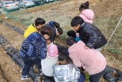 3월1주 실와놀이 어린이집 주변 산책