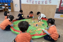 앵두콘놀이