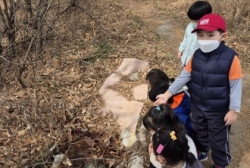 3월2주[숲 산책]
