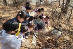 3눵2주숲놀이 봄식물찾아보기