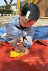 보리심기