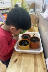 4월1주 실내놀이