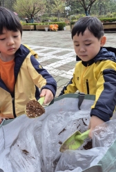 4월3주[강낭콩 심기]