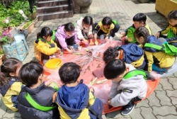 4월3쥬:강낭콩심기
